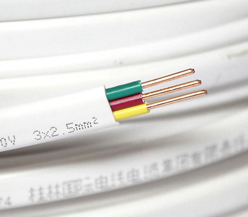 BVVB桂林国际电缆平行线